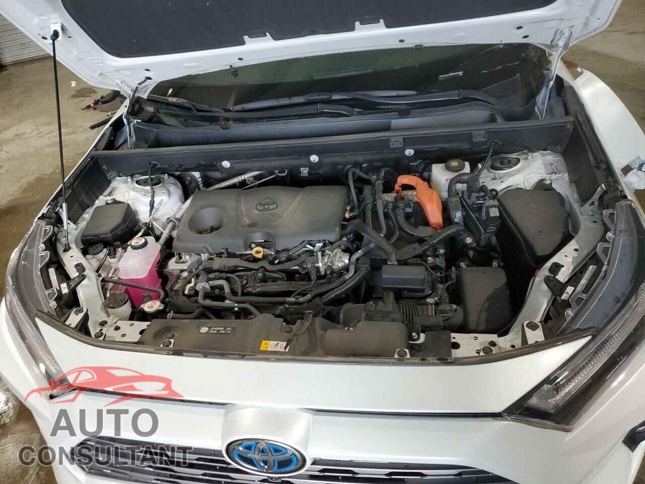 TOYOTA RAV4 2024 - 4T3D6RFV7RU142152