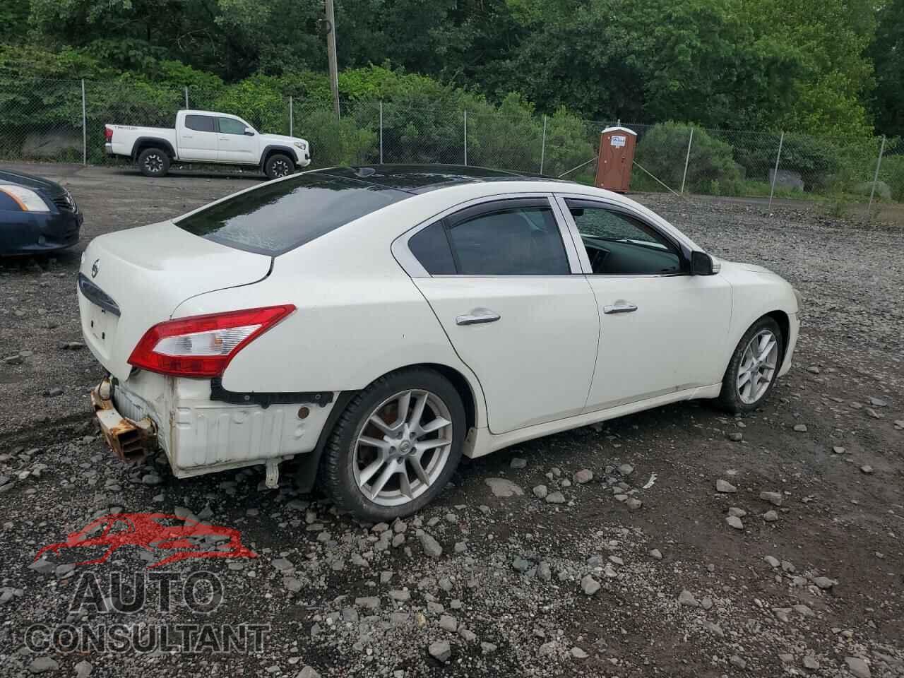 NISSAN MAXIMA 2009 - 1N4AA51E09C830570