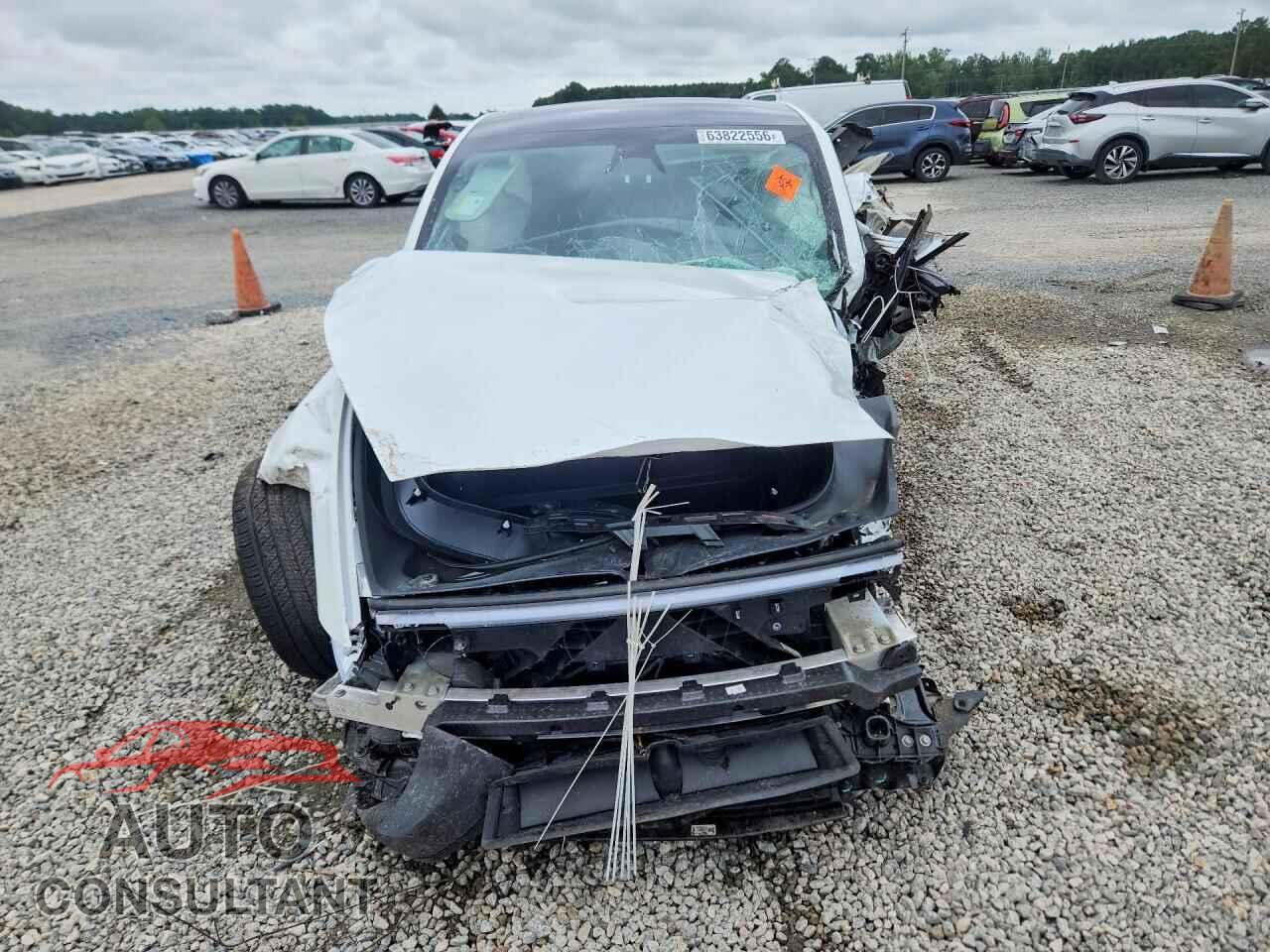 TESLA MODEL Y 2026 - 7SAYGDED8TF375676