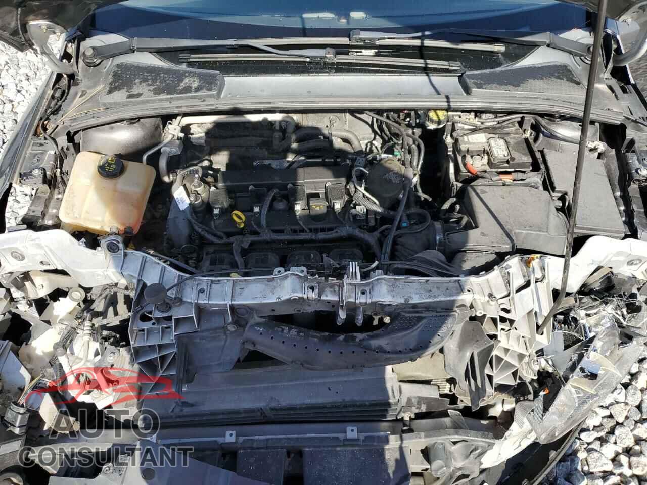 FORD FOCUS 2014 - 1FADP3F20EL415127