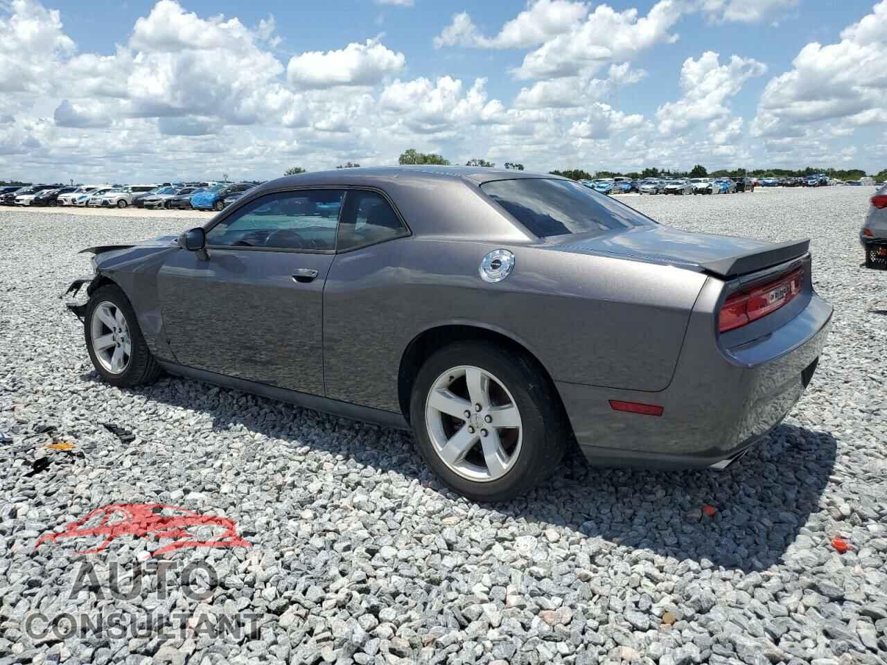 DODGE CHALLENGER 2014 - 2C3CDYAG2EH289899