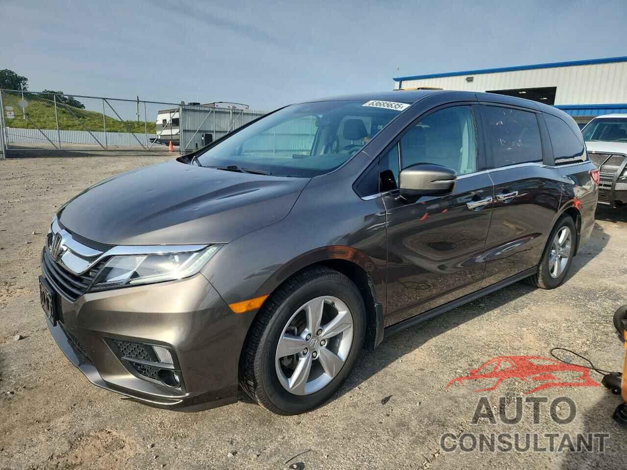 HONDA All Models 2019 - 5FNRL6H52KB104267