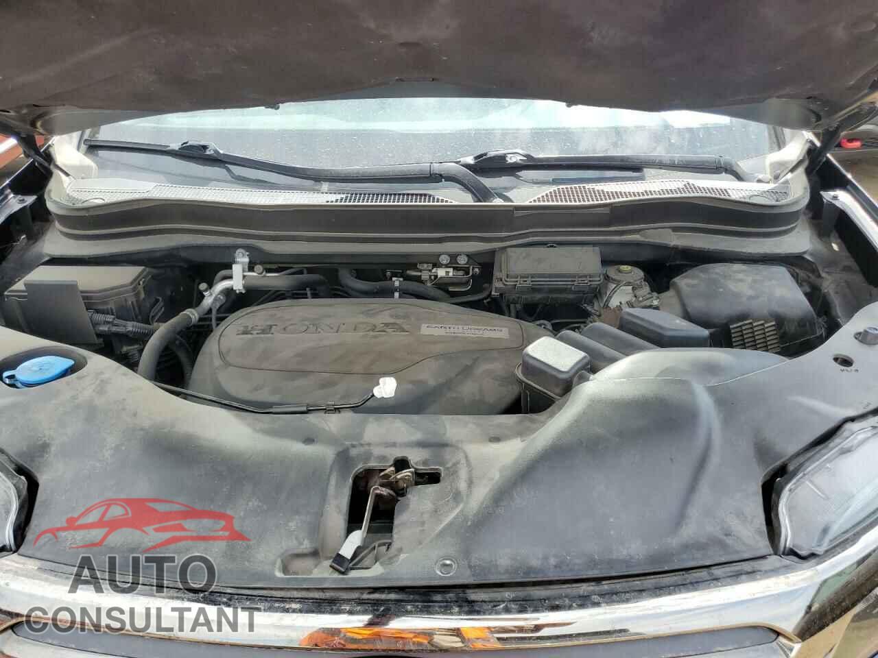 HONDA RIDGELINE 2019 - 5FPYK3F8XKB026404