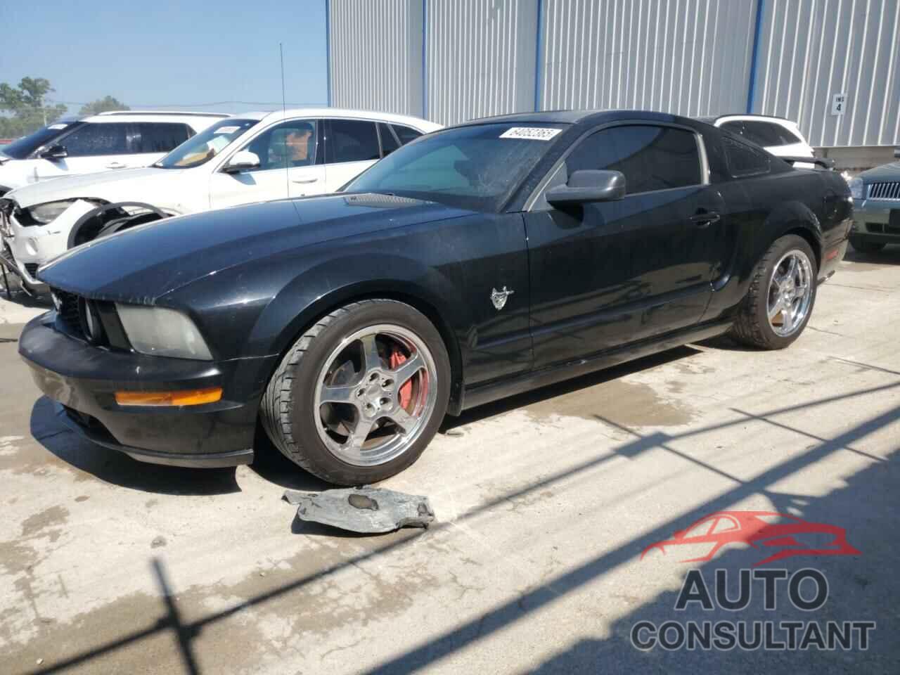 FORD MUSTANG 2009 - 1ZVHT82HX95119392