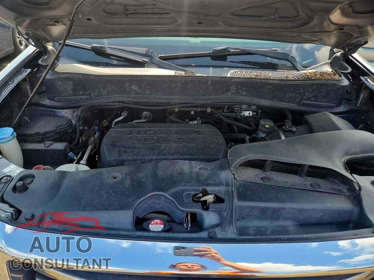 HONDA PILOT 2014 - 5FNYF3H55EB011555