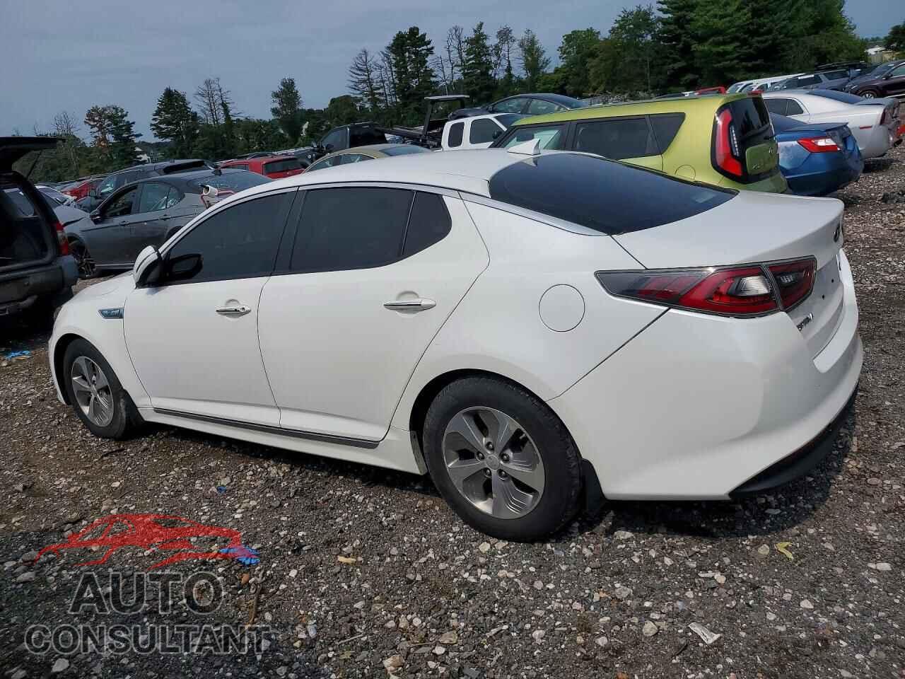KIA OPTIMA 2016 - KNAGM4AD5G5093152