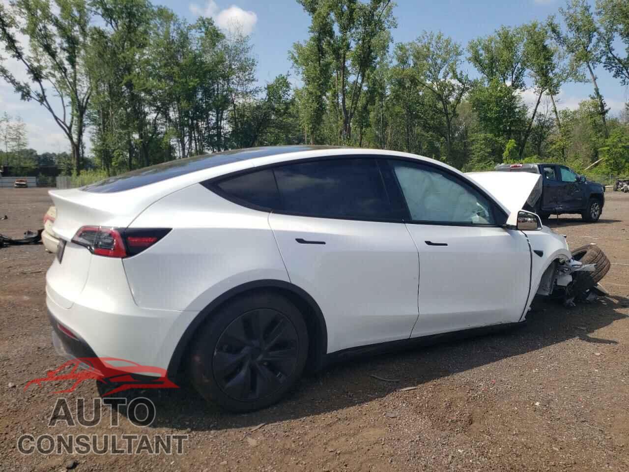 TESLA MODEL Y 2024 - 7SAYGDED9RF133701