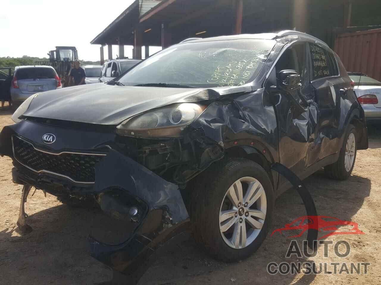 KIA SPORTAGE 2017 - KNDPM3AC2H7151924