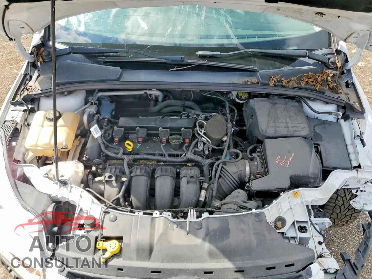FORD FOCUS 2014 - 1FADP3F24EL286342