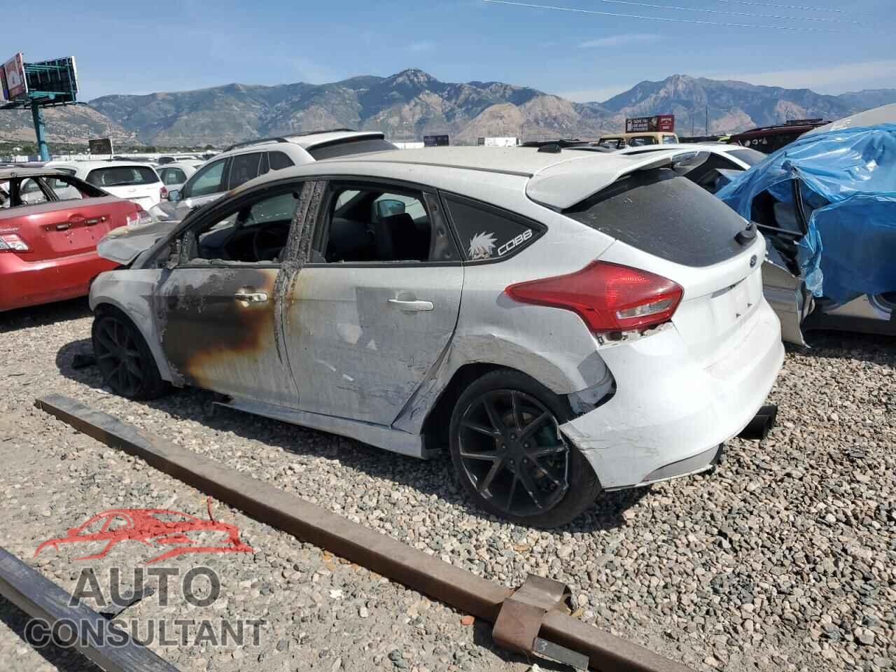 FORD FOCUS 2017 - 1FADP3L94HL343225