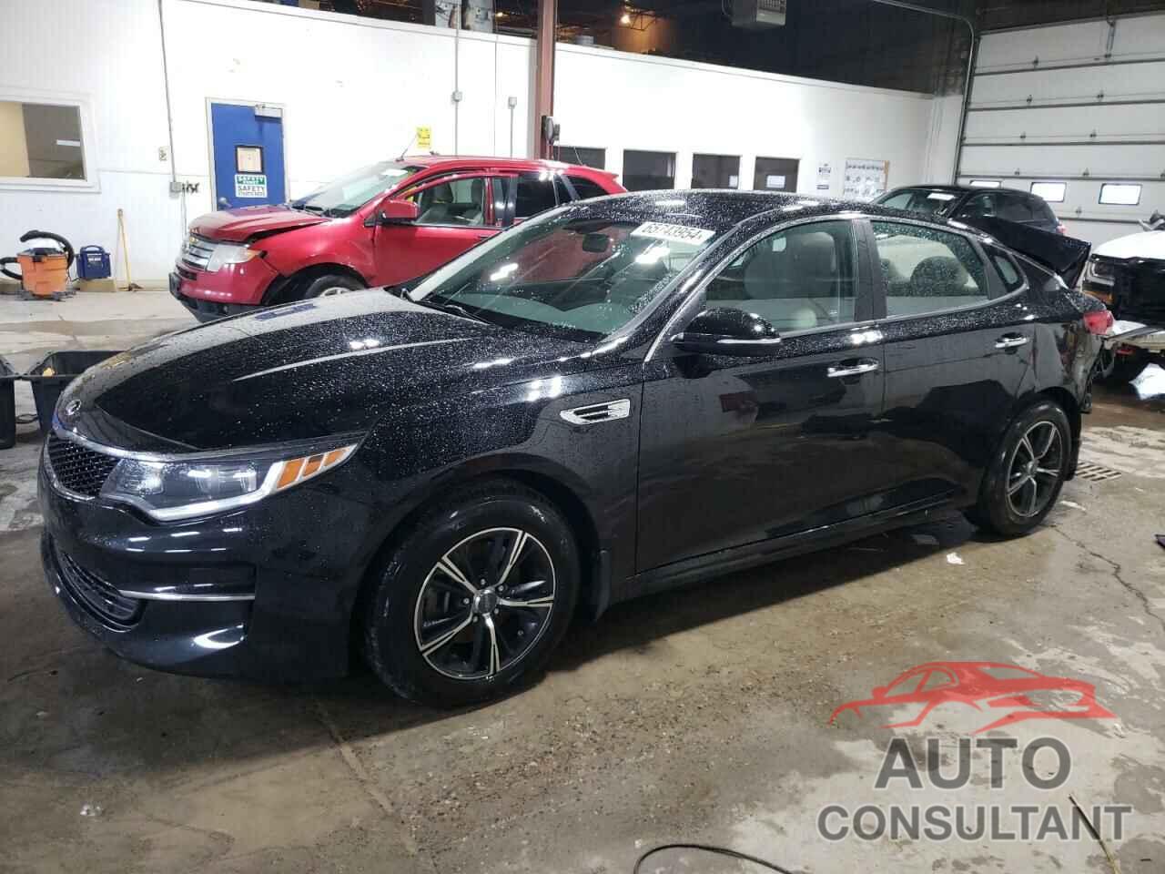 KIA OPTIMA 2017 - 5XXGT4L38HG152489