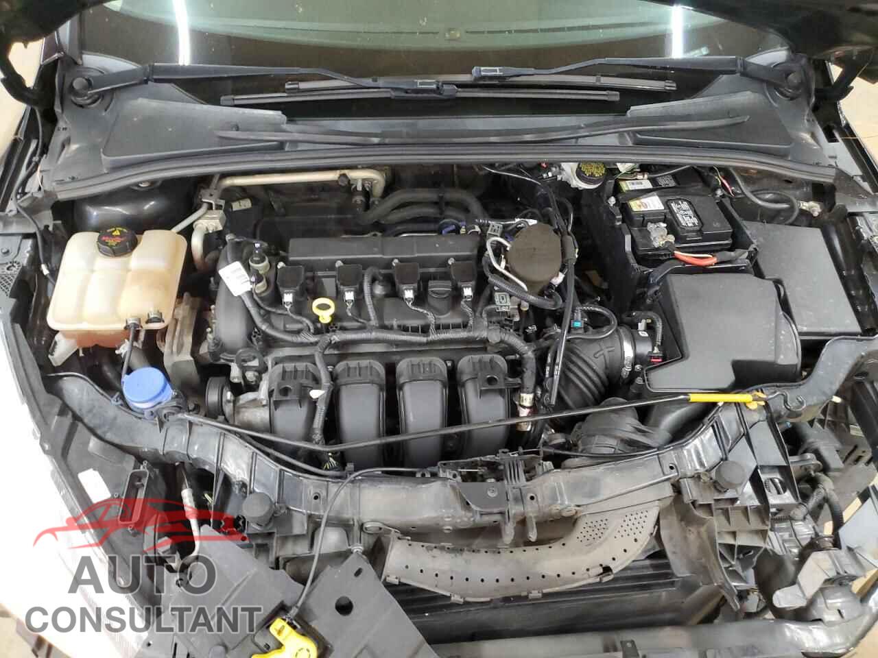 FORD FOCUS 2015 - 1FADP3F21FL259181