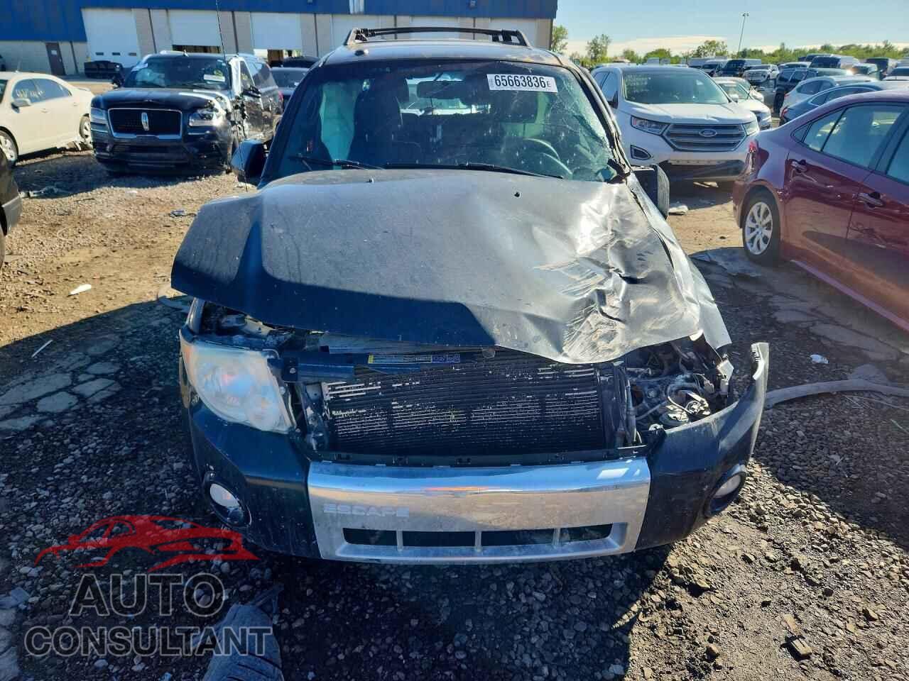FORD ESCAPE 2010 - 1FMCU0EGXAKB53784