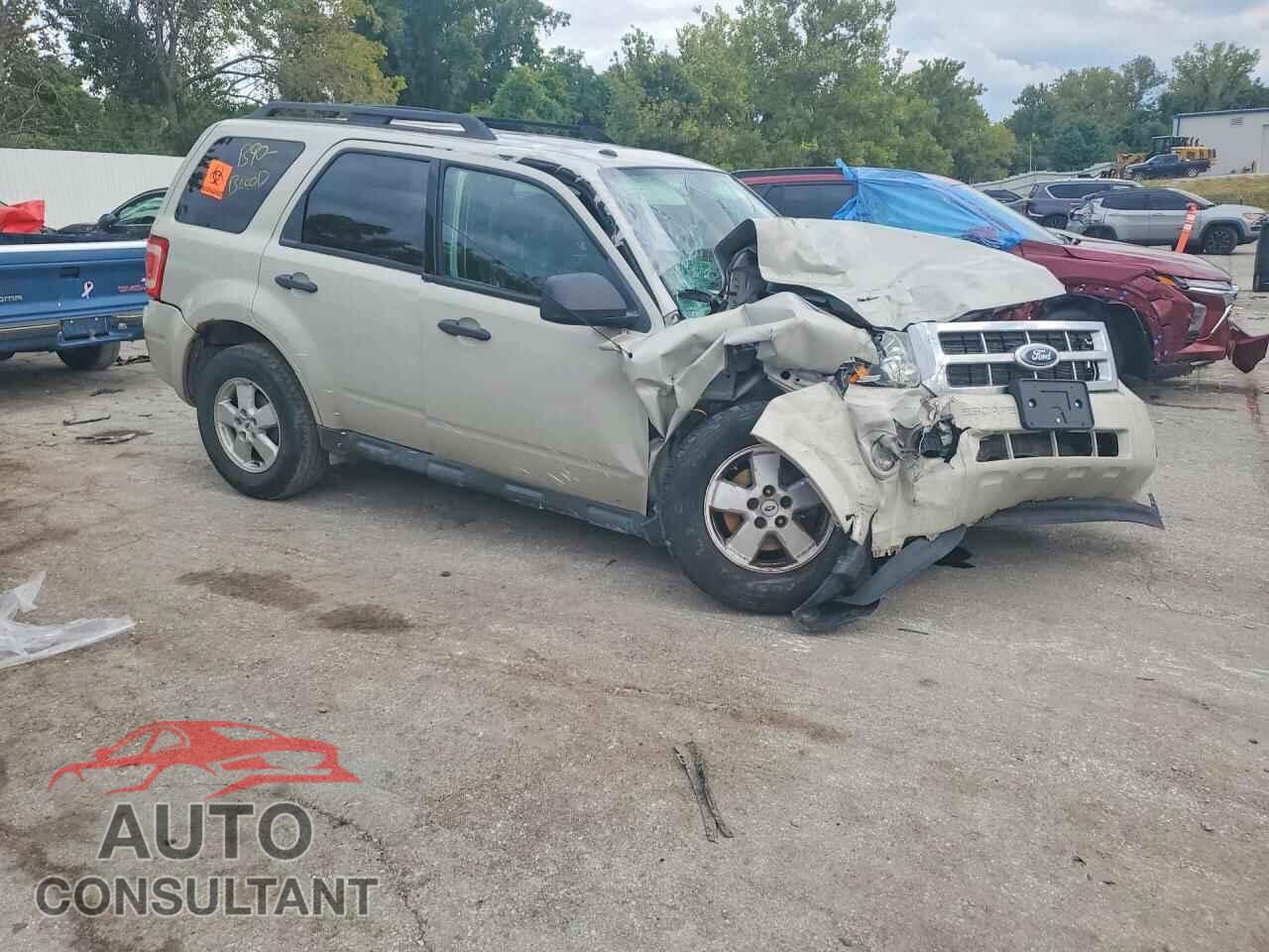 FORD ESCAPE 2009 - 1FMCU03GX9KD05948
