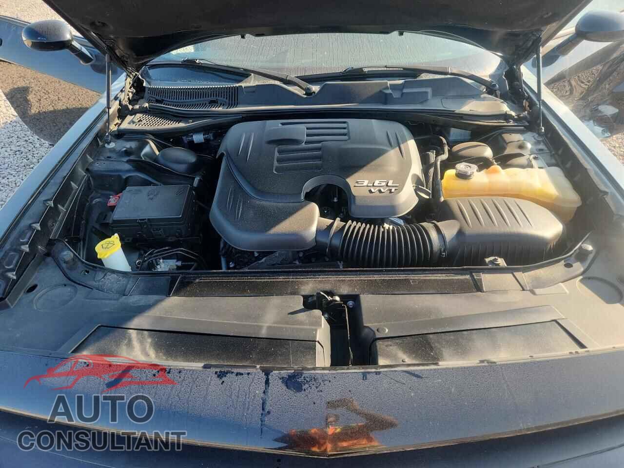 DODGE CHALLENGER 2019 - 2C3CDZAGXKH521361