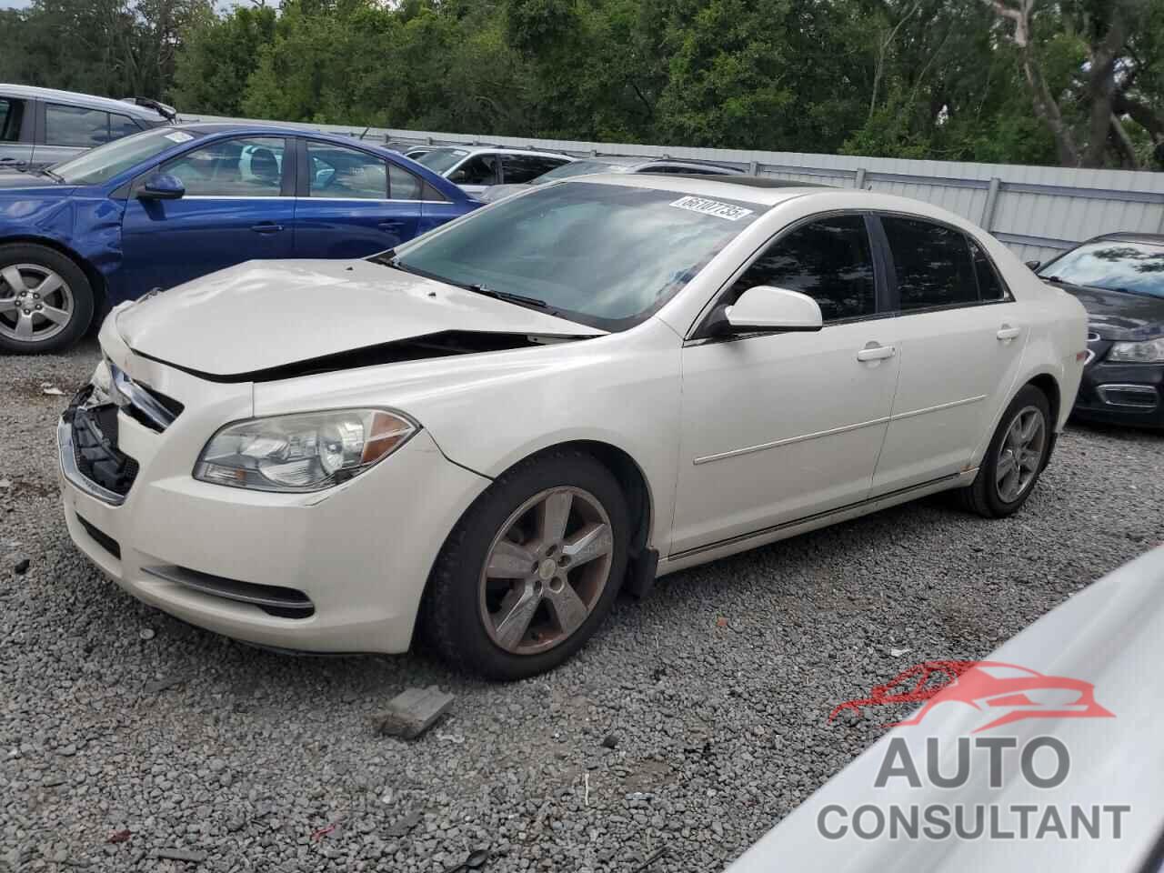 CHEVROLET MALIBU 2011 - 1G1ZC5E15BF296638