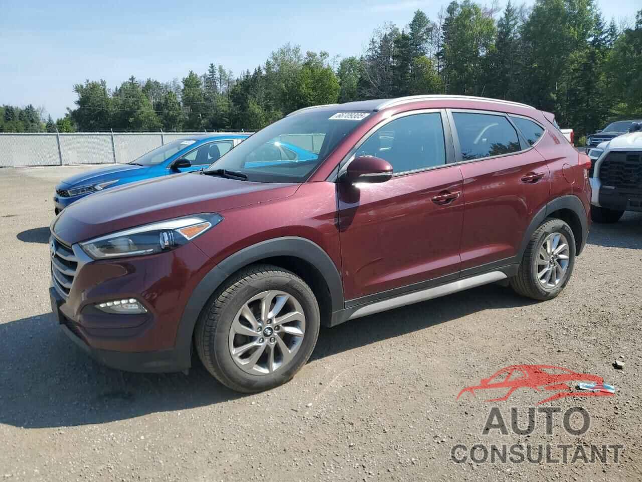 HYUNDAI TUCSON 2017 - KM8J33A47HU585299