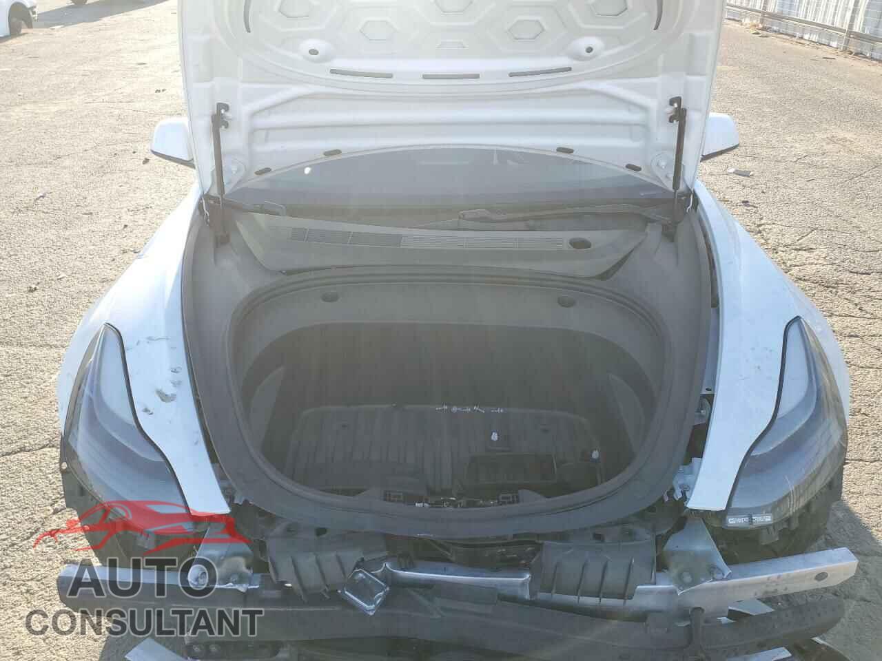 TESLA MODEL 3 2021 - 5YJ3E1EC9MF875334