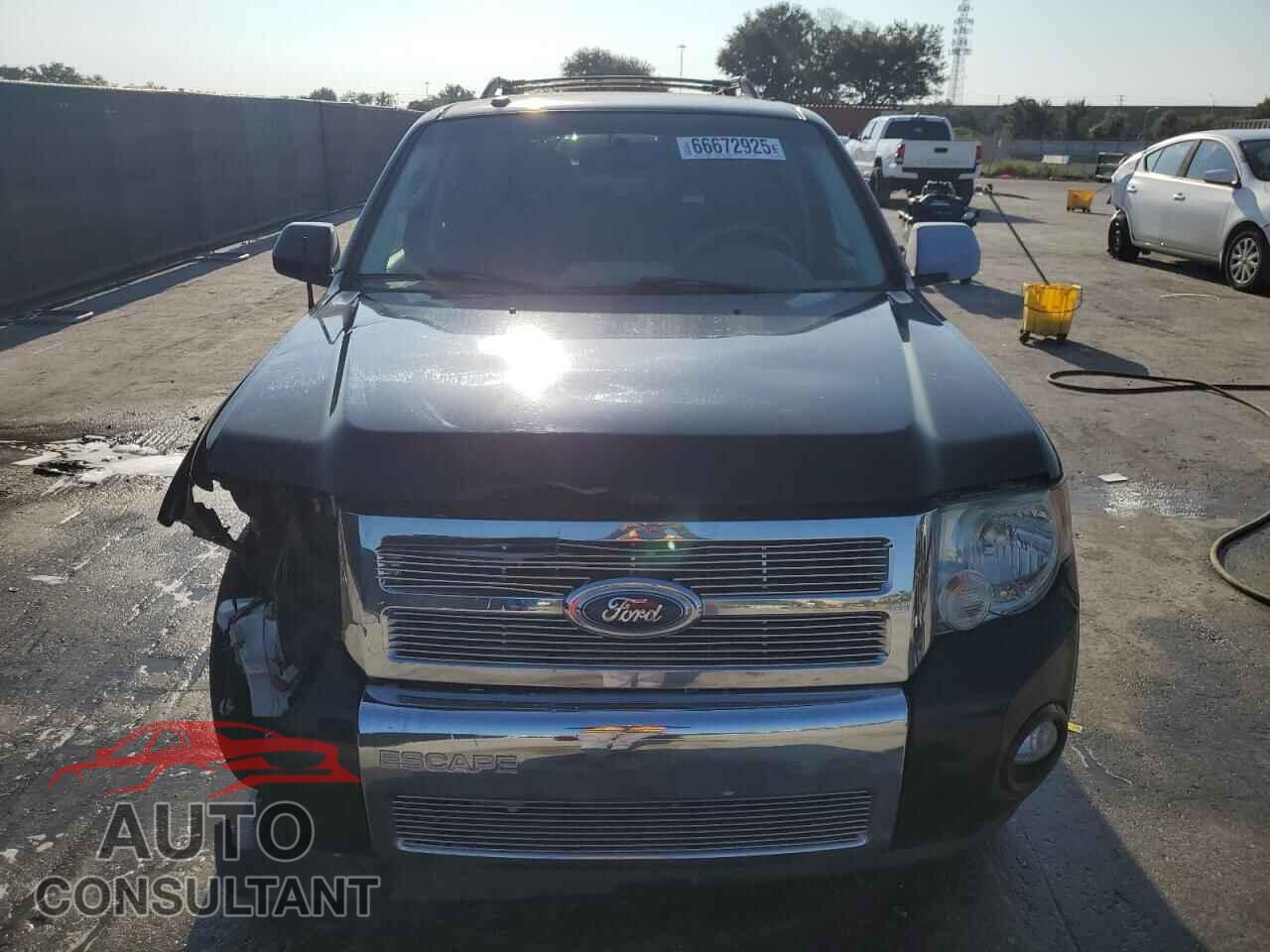 FORD ESCAPE 2011 - 1FMCU0EG2BKC52083