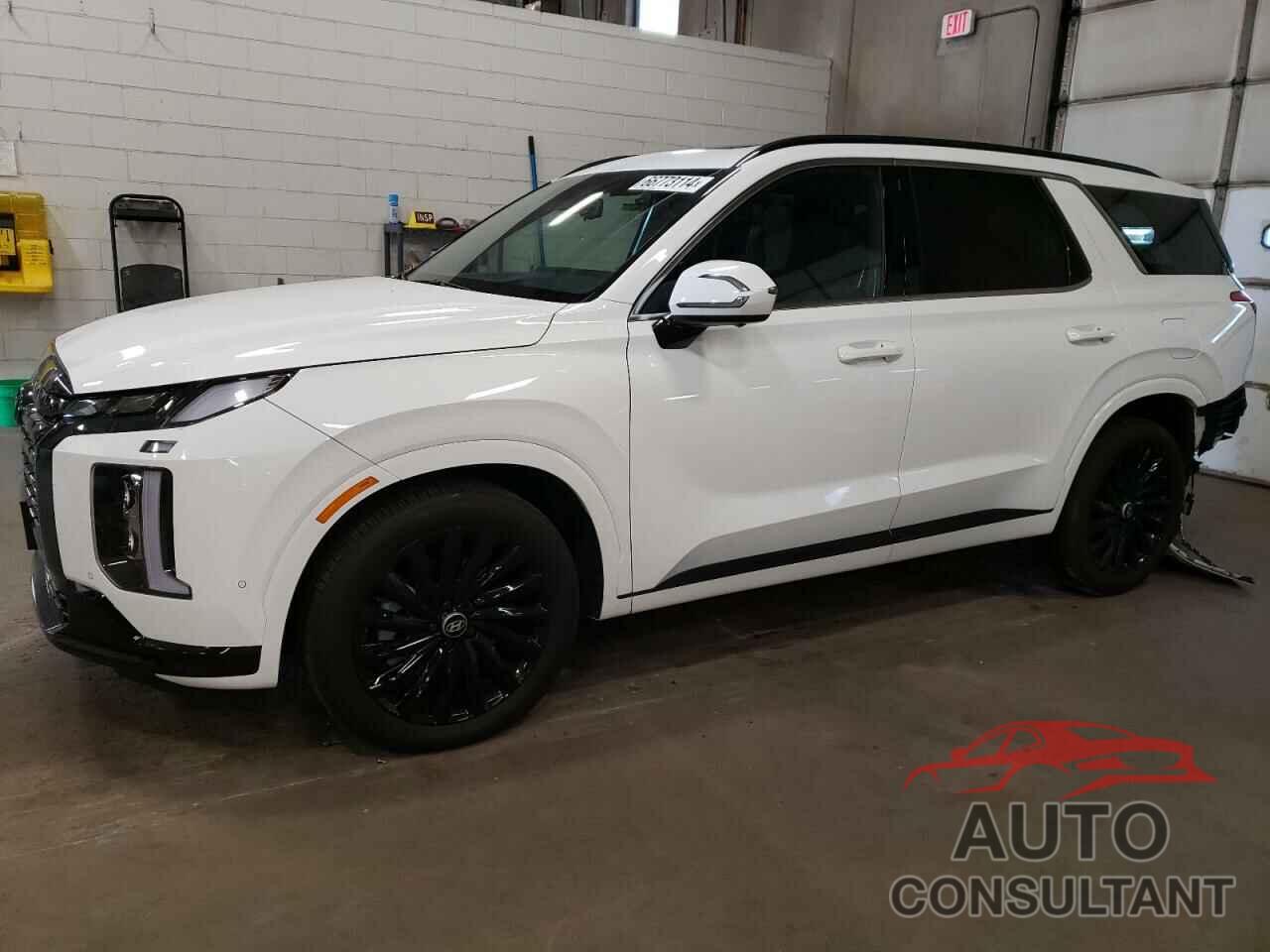 HYUNDAI PALISADE 2024 - KM8R7DGE4RU681440