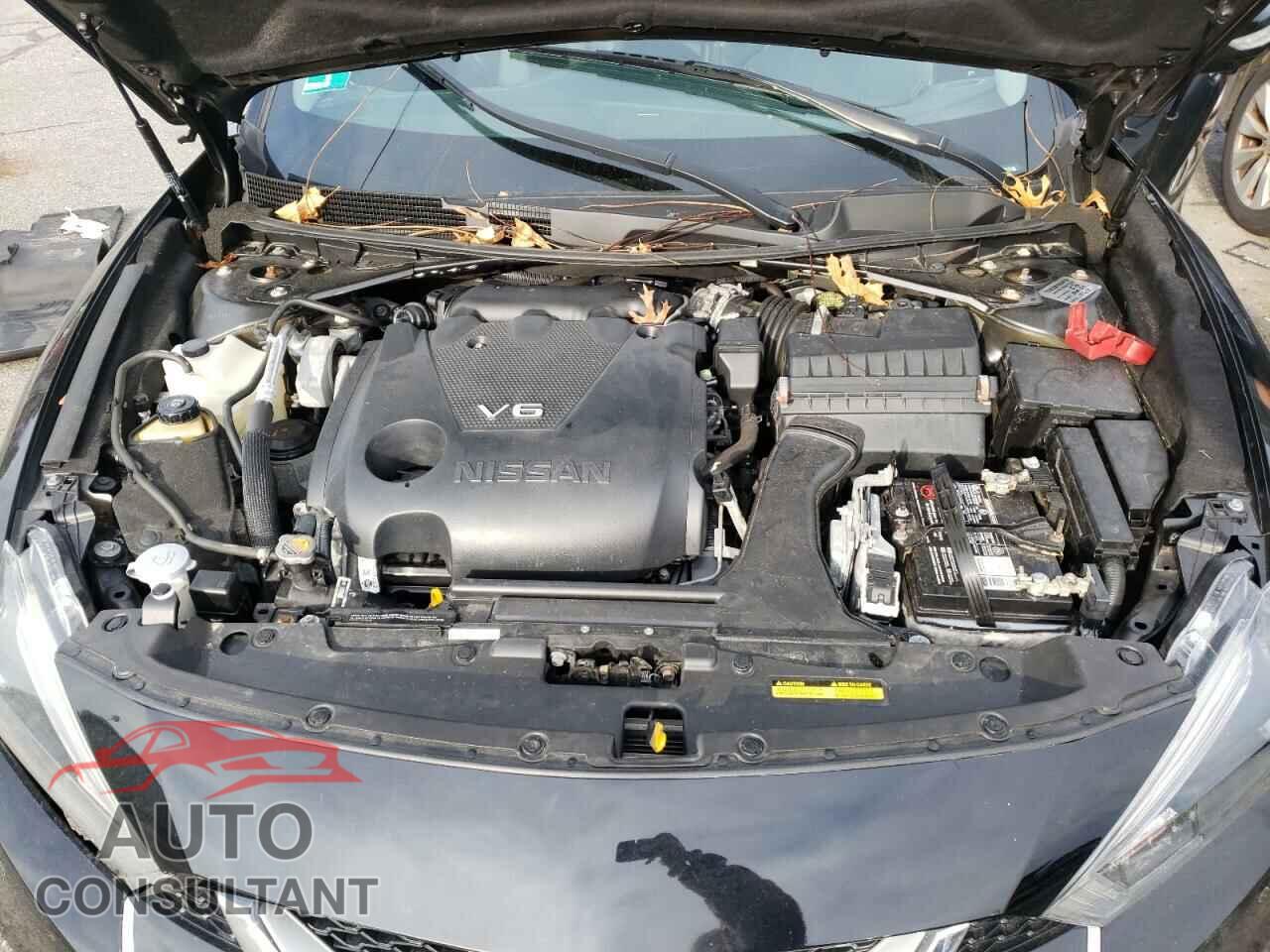 NISSAN MAXIMA 2017 - 1N4AA6AP2HC376604