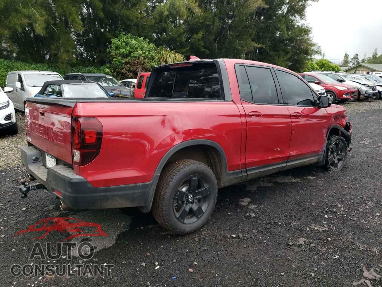 HONDA RIDGELINE 2024 - 5FPYK3F8XRB018670