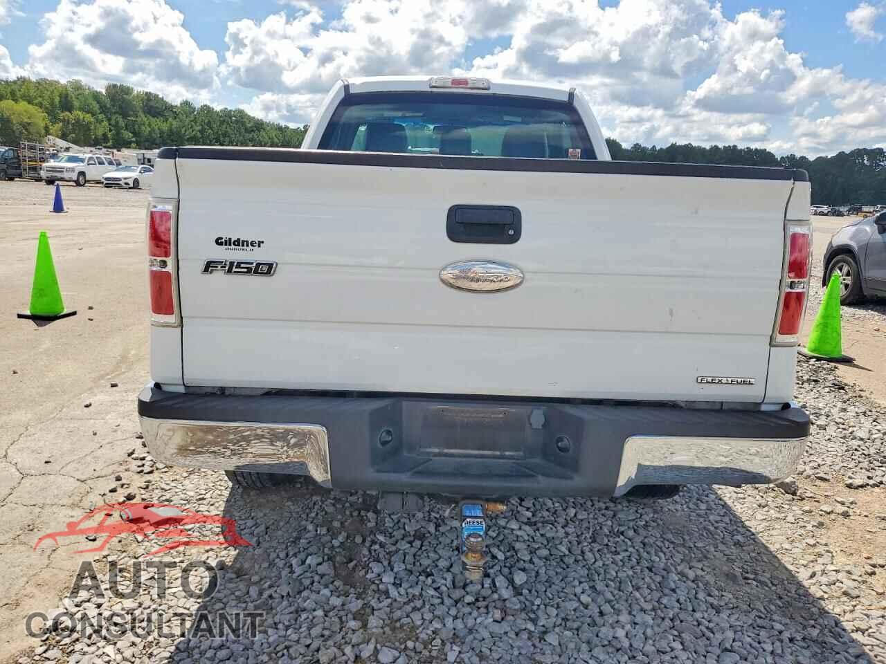 FORD F150 2011 - 1FTMF1EM6BFB38885