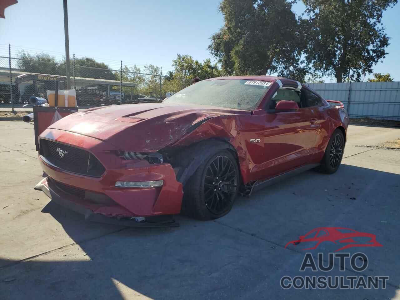 FORD MUSTANG 2020 - 1FA6P8CF9L5184114