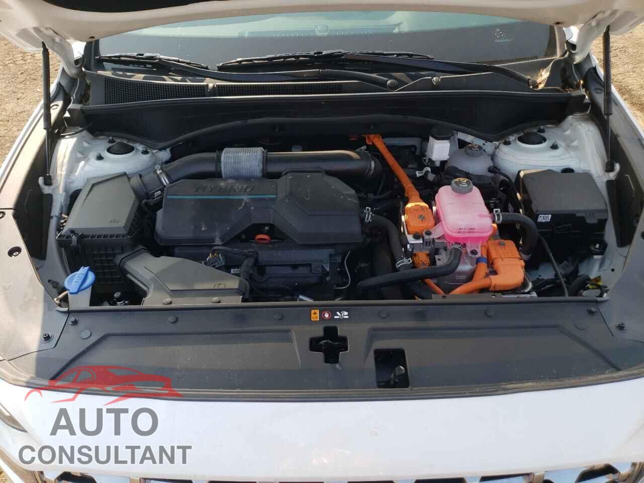 HYUNDAI SANTA FE 2023 - 5NMS2DA19PH020081