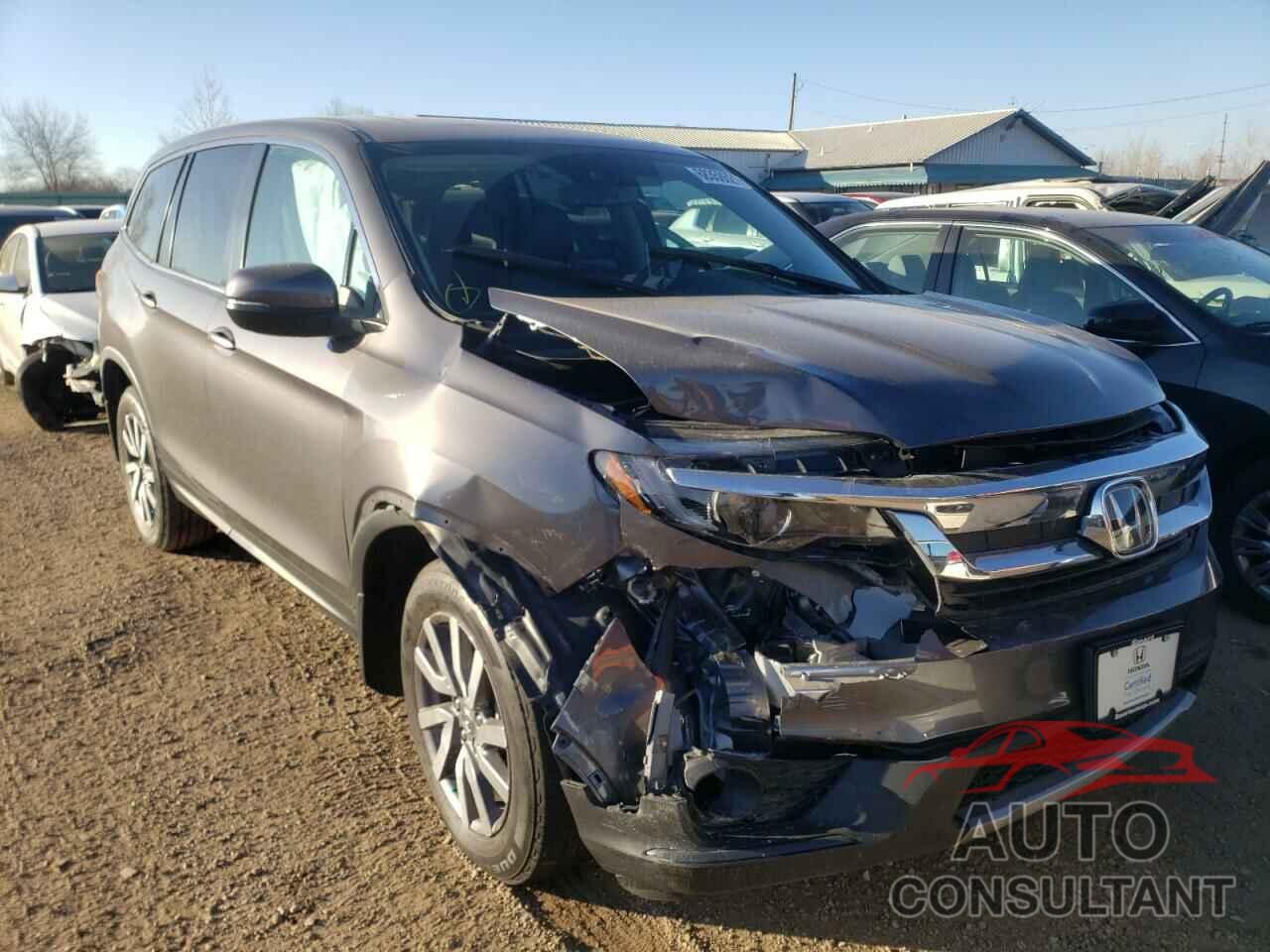 HONDA PILOT 2019 - 5FNYF6H46KB045315