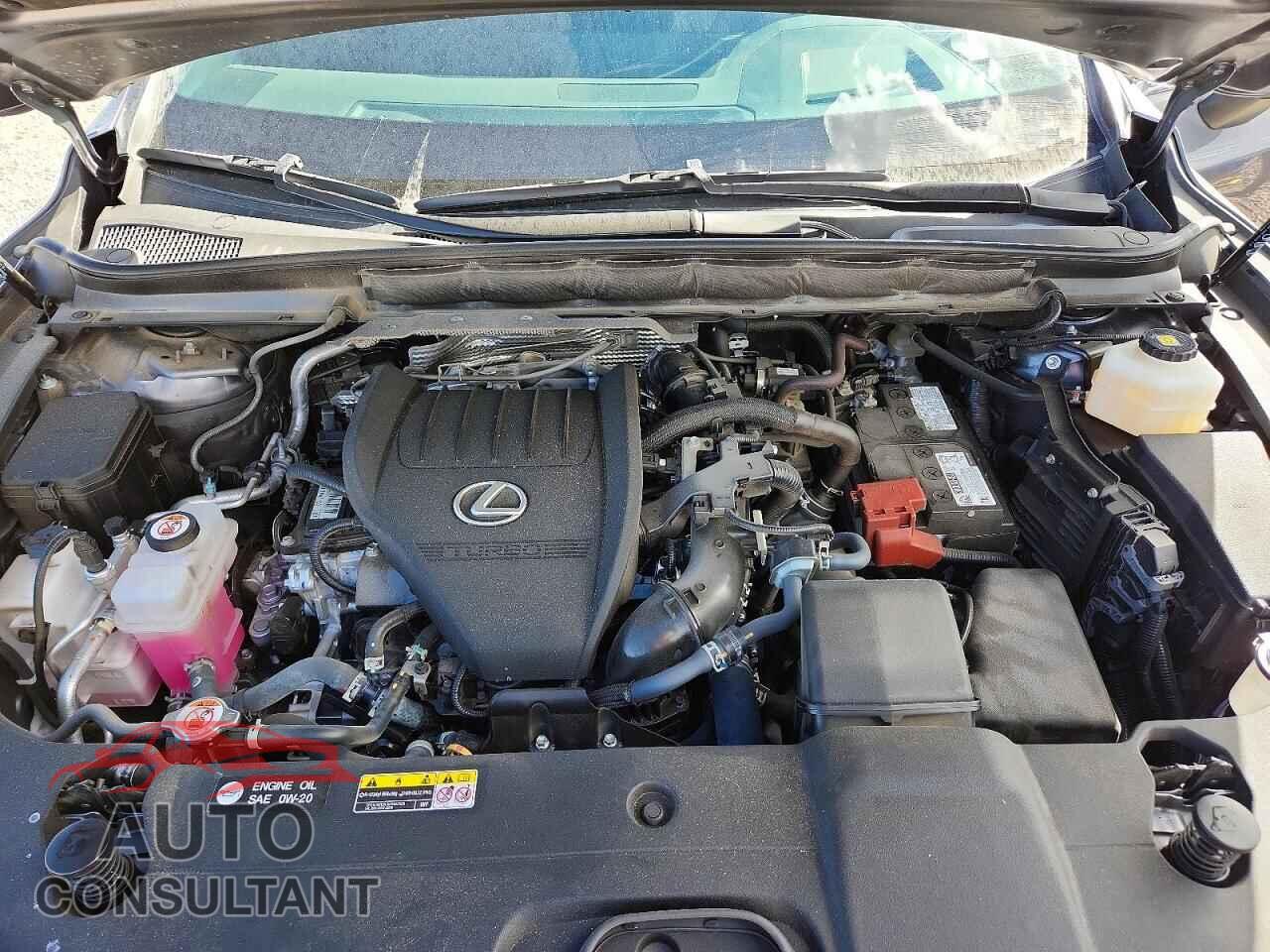 LEXUS RX350 2023 - 2T2BAMCA3PC012785