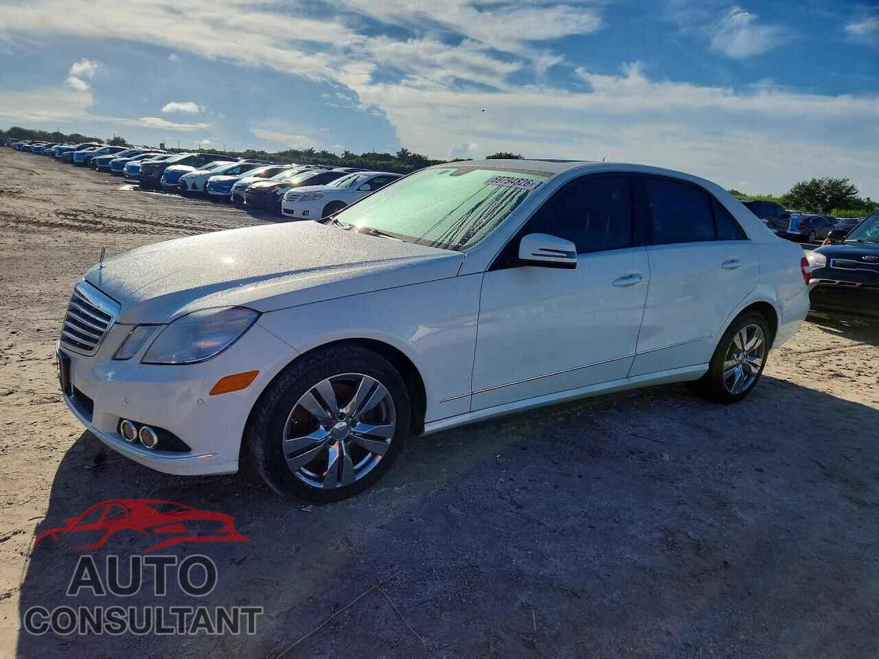 MERCEDES-BENZ E-CLASS 2010 - WDDHF5GB7AA076158