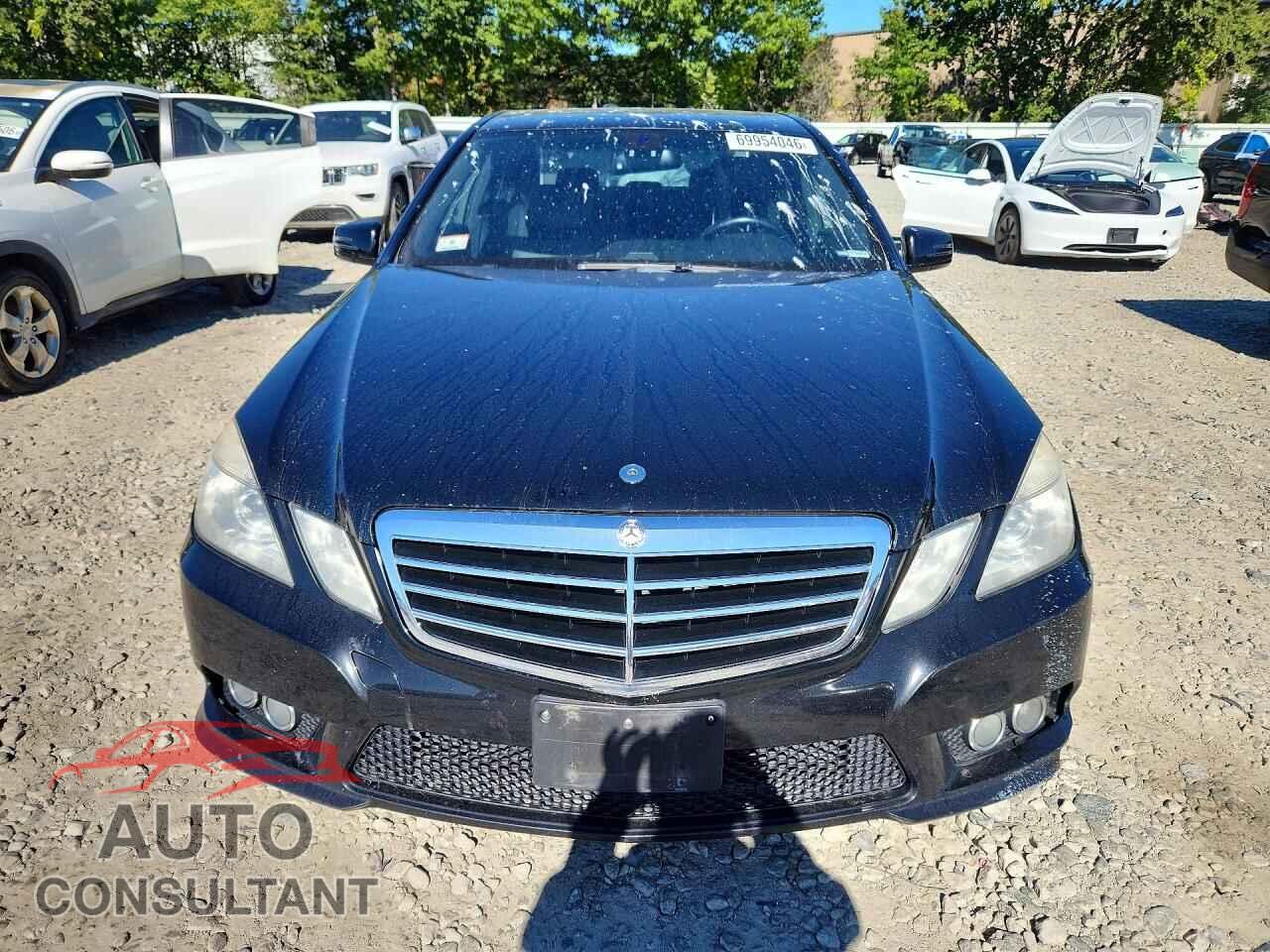 MERCEDES-BENZ E-CLASS 2010 - WDDHF8HBXAA074341