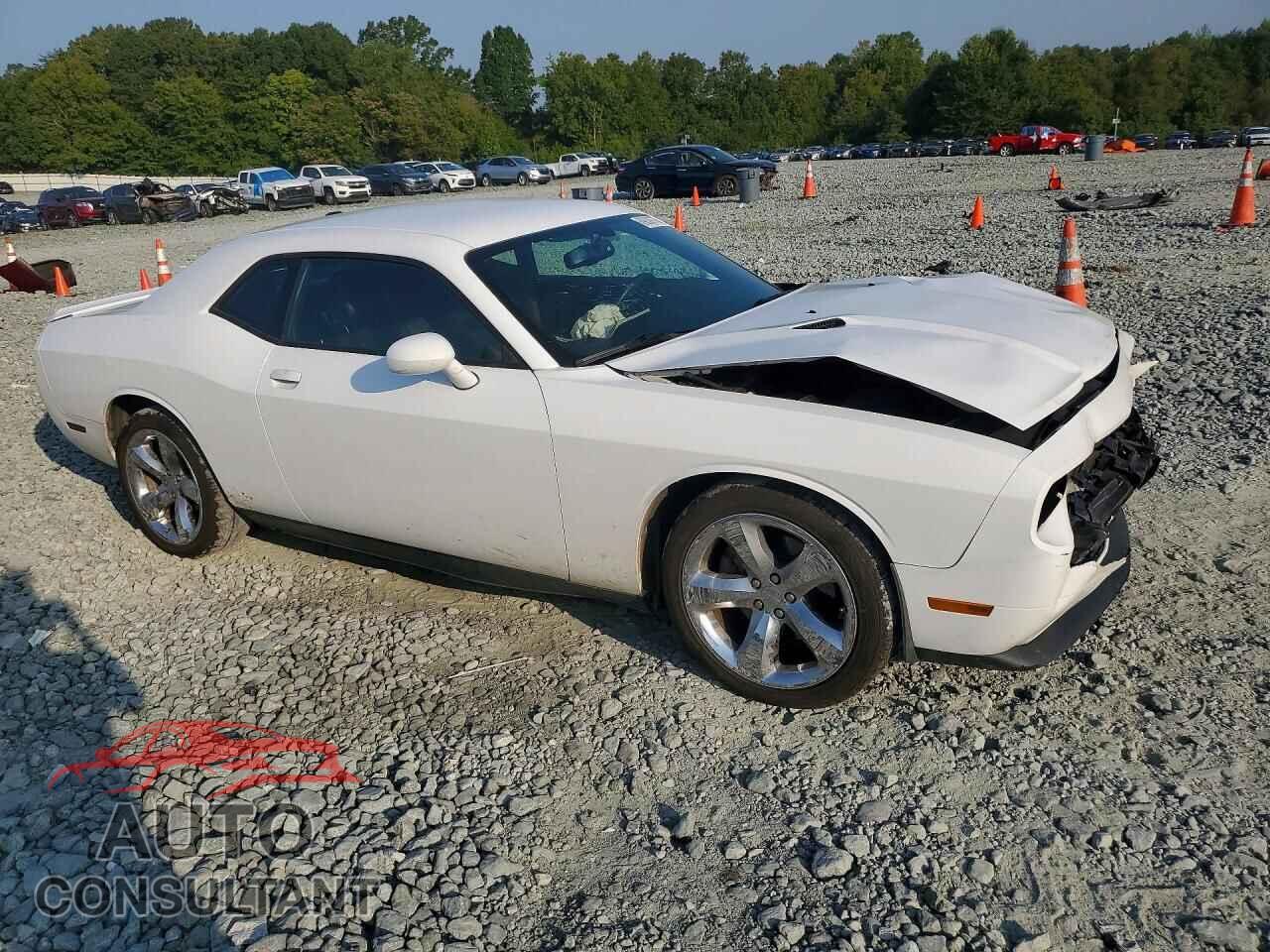 DODGE CHALLENGER 2013 - 2C3CDYAG3DH520114