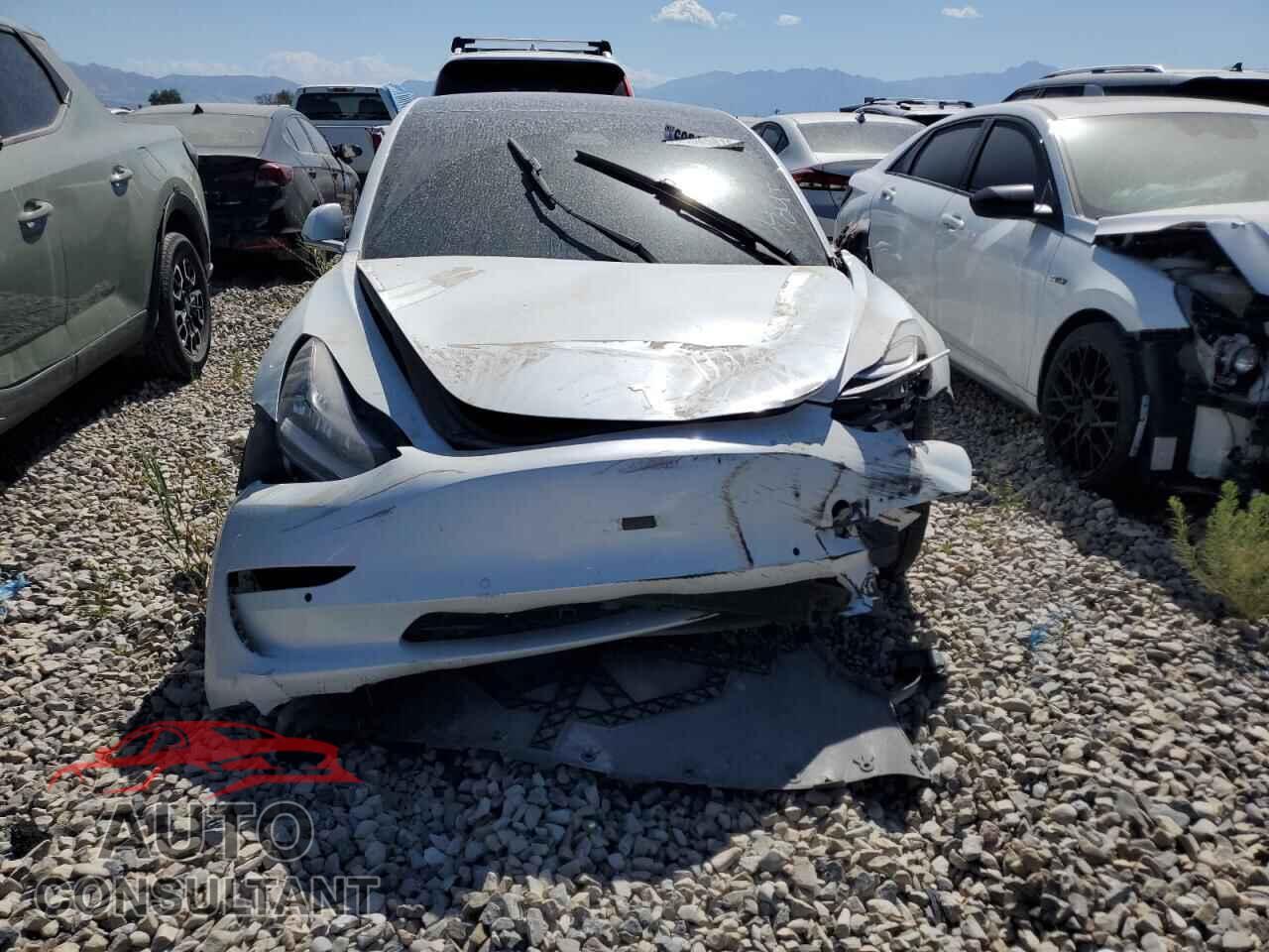 TESLA MODEL 3 2019 - 5YJ3E1EB7KF512437