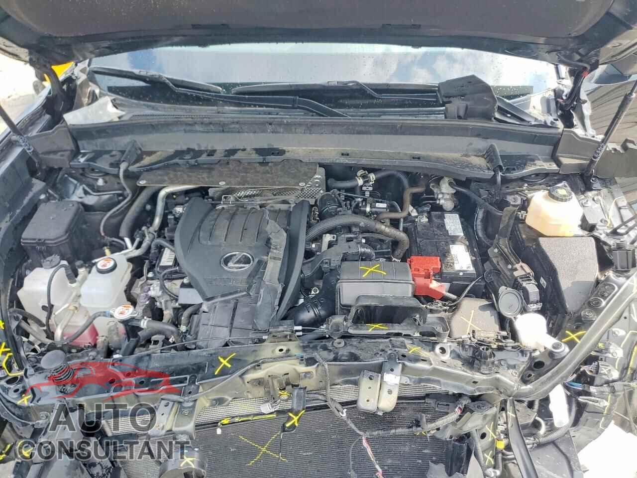 LEXUS UNKNOWN 2026 - 5TDAAAB62TS054619