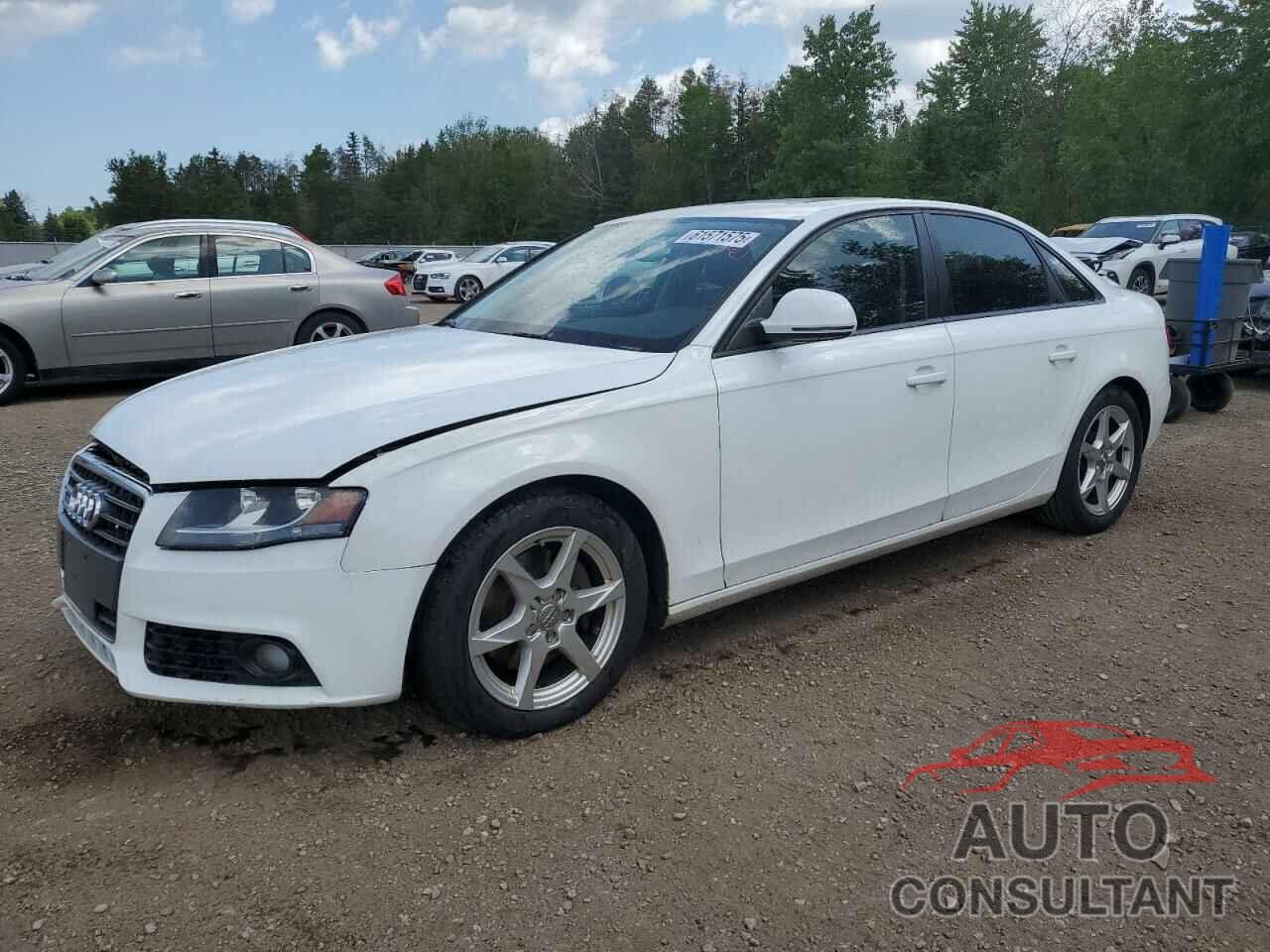 AUDI A4 2009 - WAULF68K59N025039