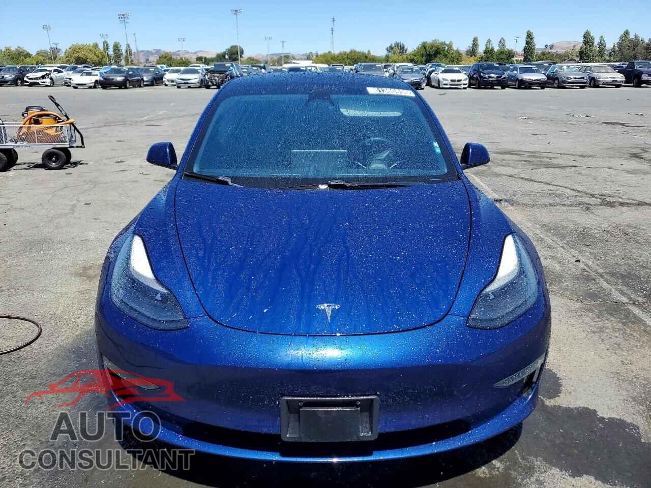 TESLA MODEL 3 2021 - 5YJ3E1EA1MF875178