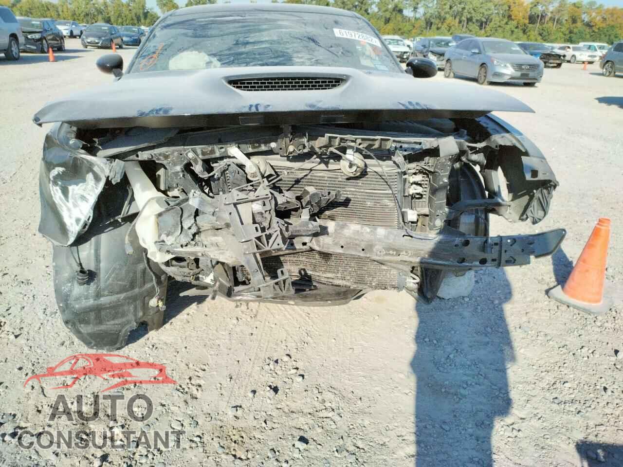DODGE CHALLENGER 2019 - 2C3CDZBT4KH719087