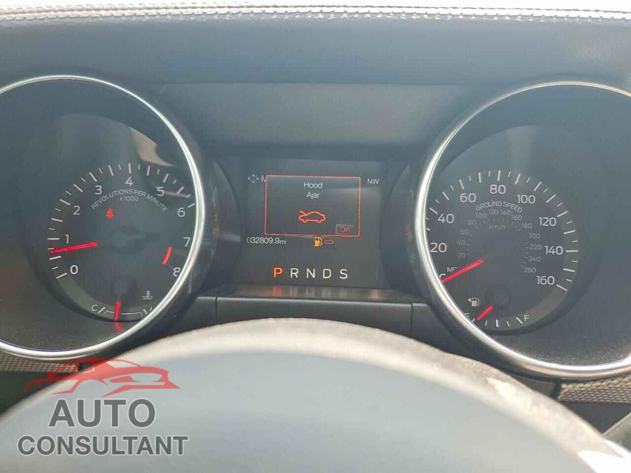 FORD MUSTANG 2019 - 1FA6P8CF5K5124152