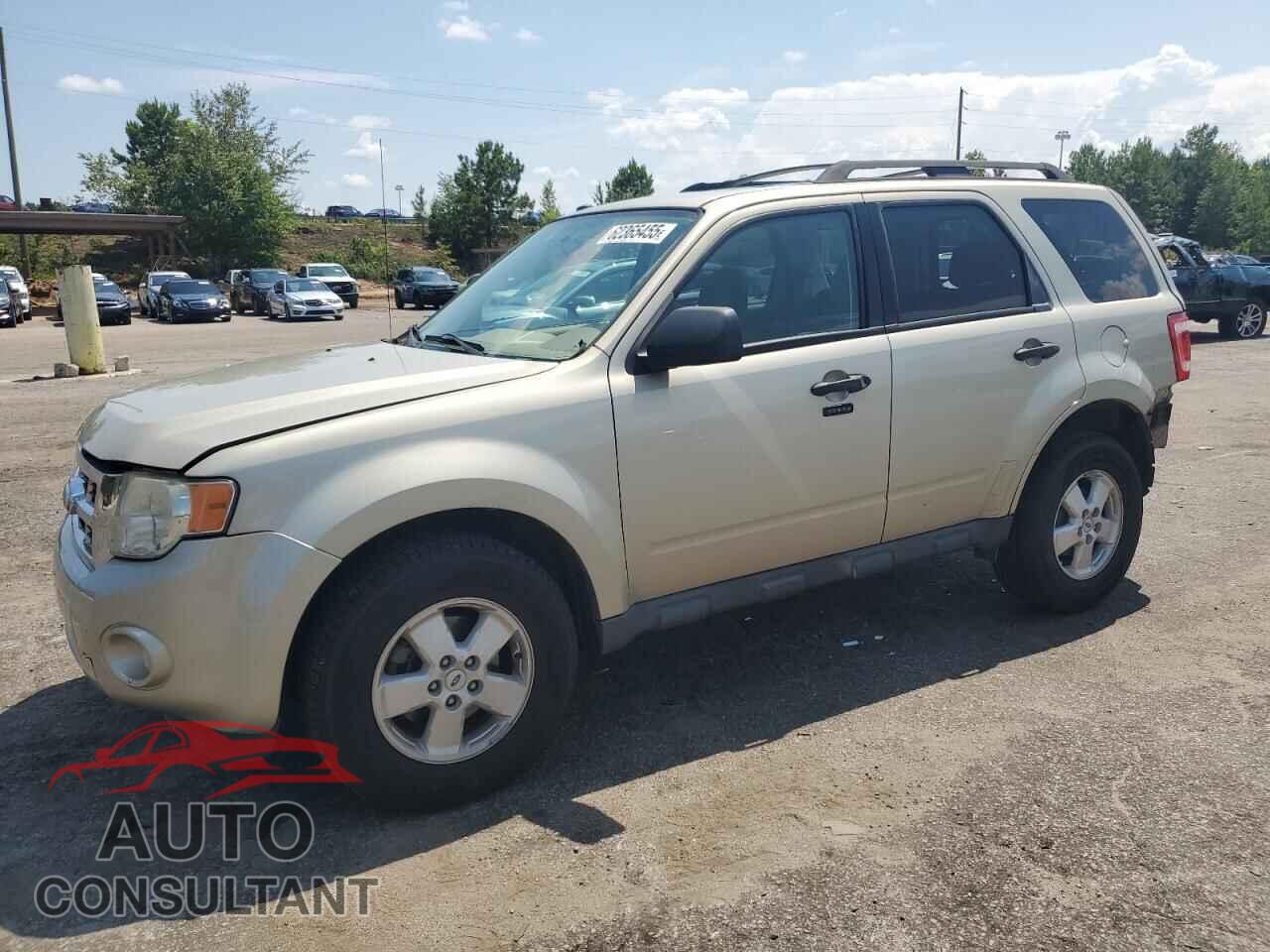 FORD ESCAPE 2010 - 1FMCU0DG4AKB21916