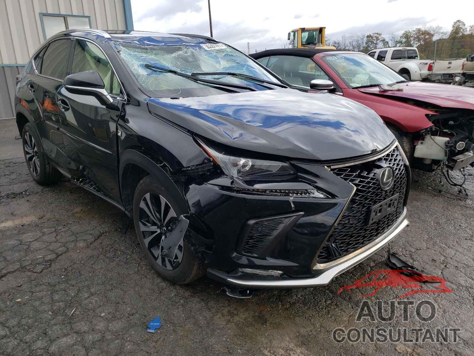 LEXUS NX 2020 - JTJSARDZXL2219850