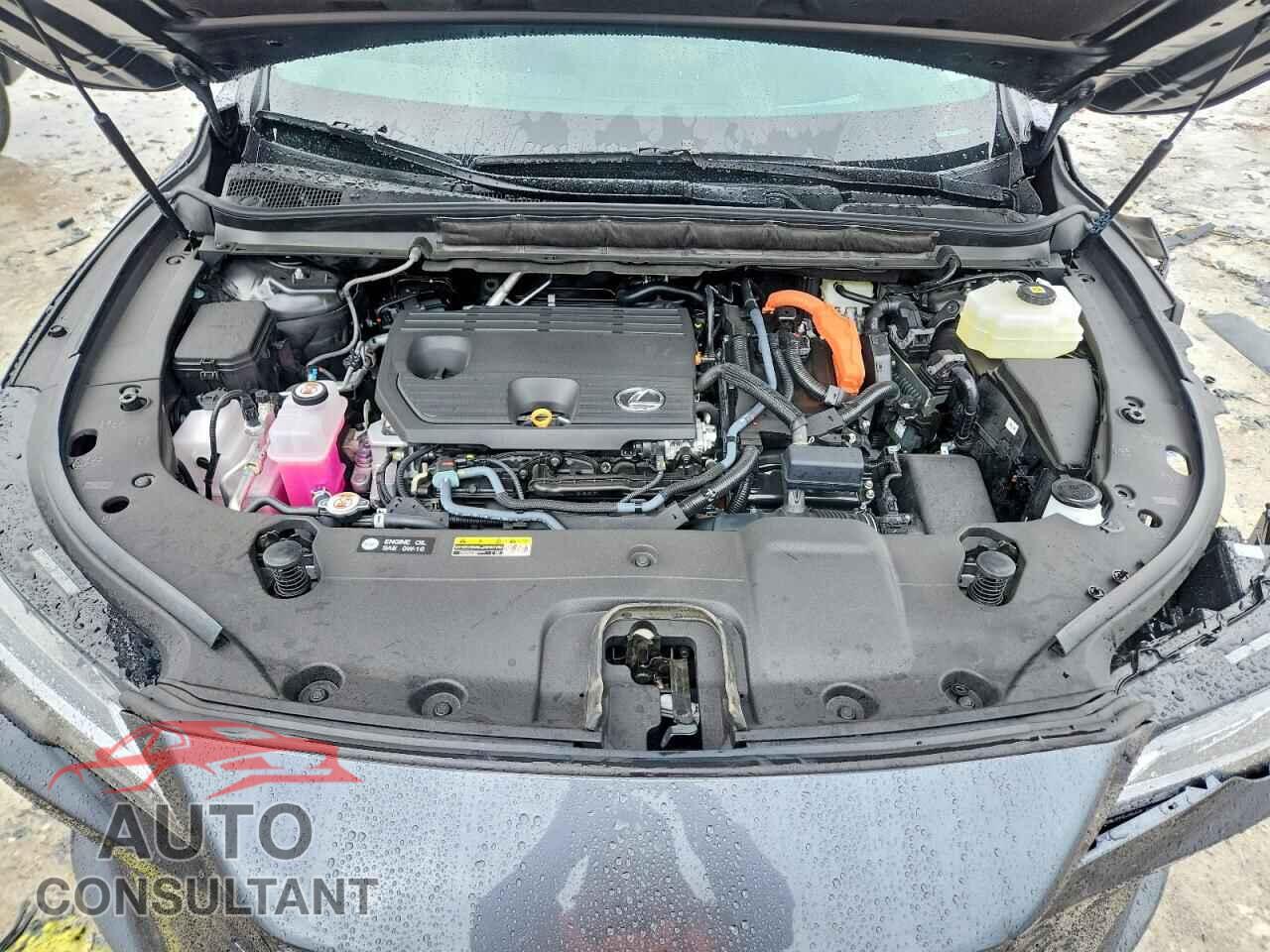 LEXUS UNKNOWN 2026 - 2T2BBMCA4TC138841