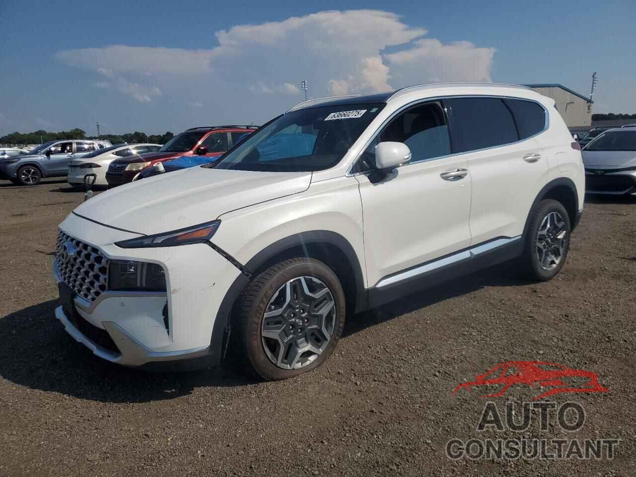 HYUNDAI SANTA FE 2022 - KM8S5DA14NU052896