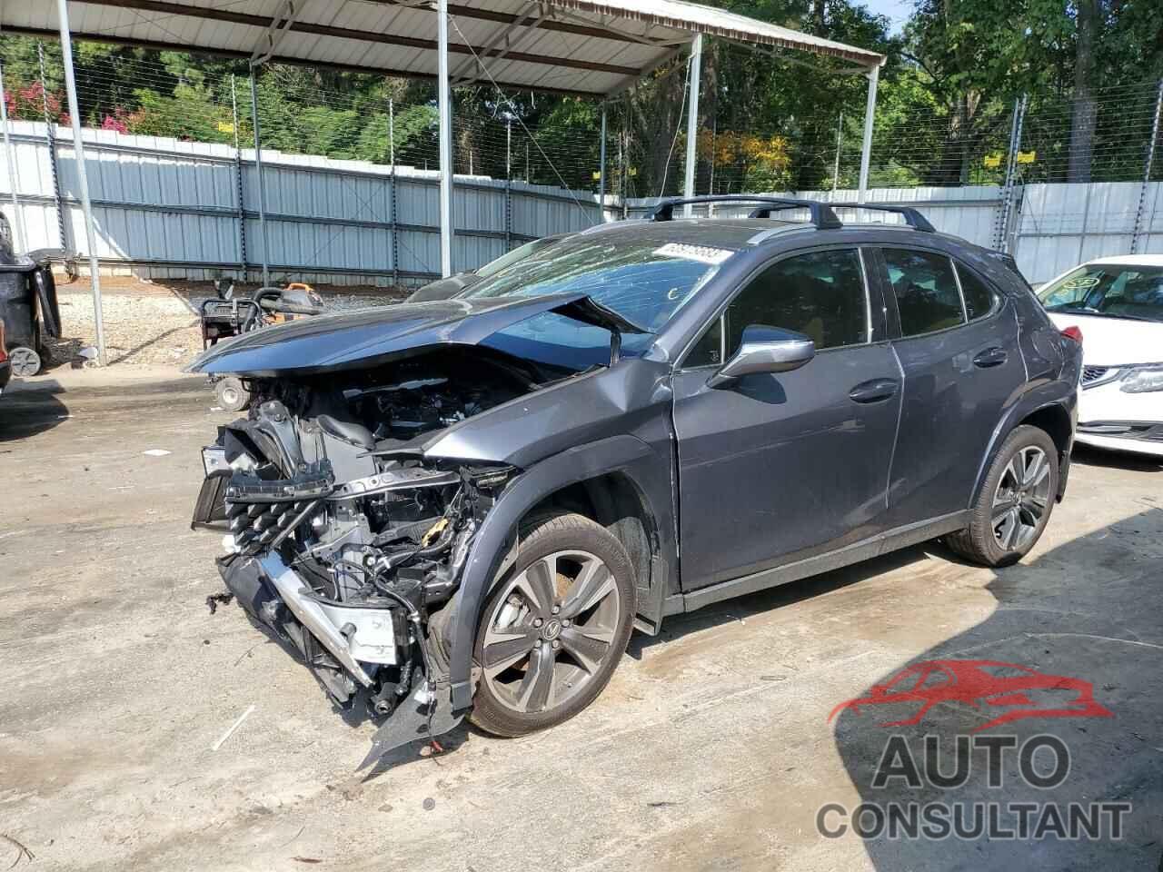 LEXUS UX 200 BAS 2022 - JTHP3JBH3N2047063
