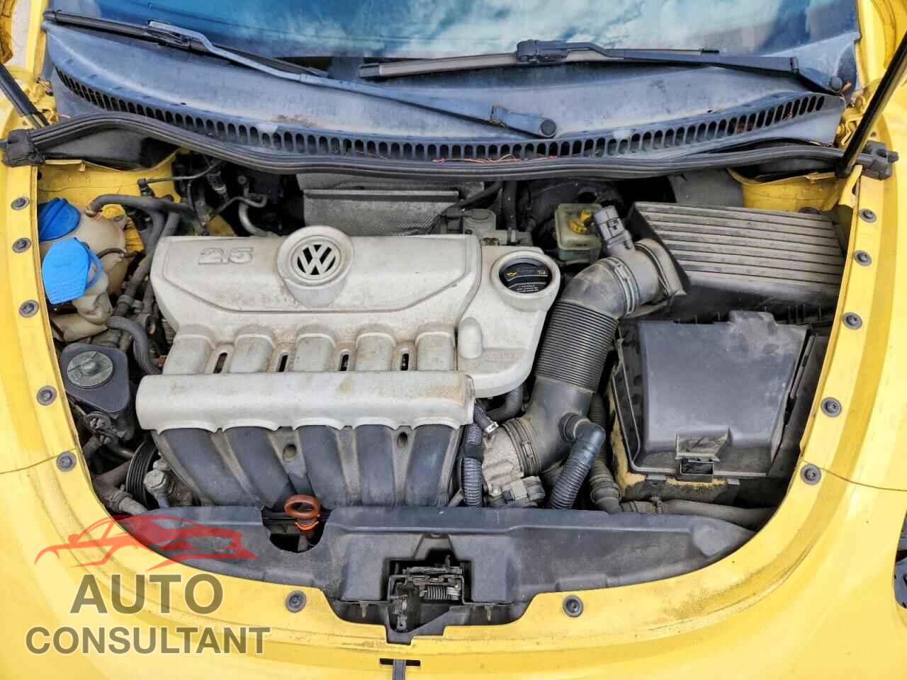 VOLKSWAGEN BEETLE 2010 - 3VWPG3AG2AM012072