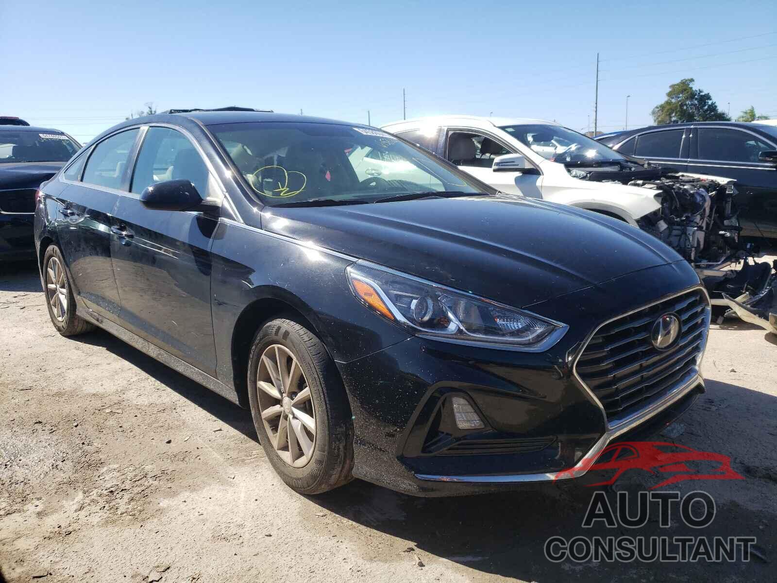 HYUNDAI SONATA 2019 - 5NPE24AF6KH761910