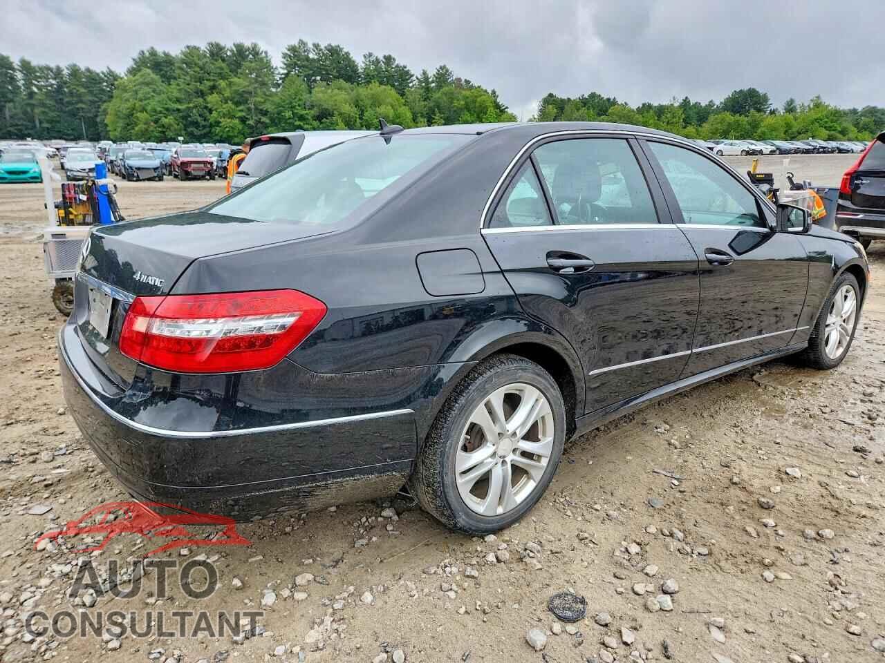 MERCEDES-BENZ E-CLASS 2010 - WDDHF8HB1AA099984