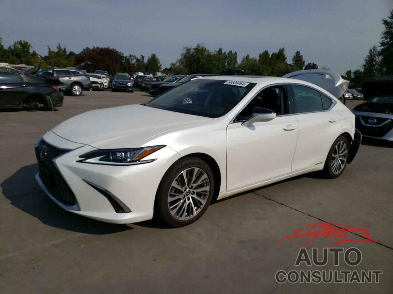 LEXUS ES300 2021 - 58ADA1C1XMU003905