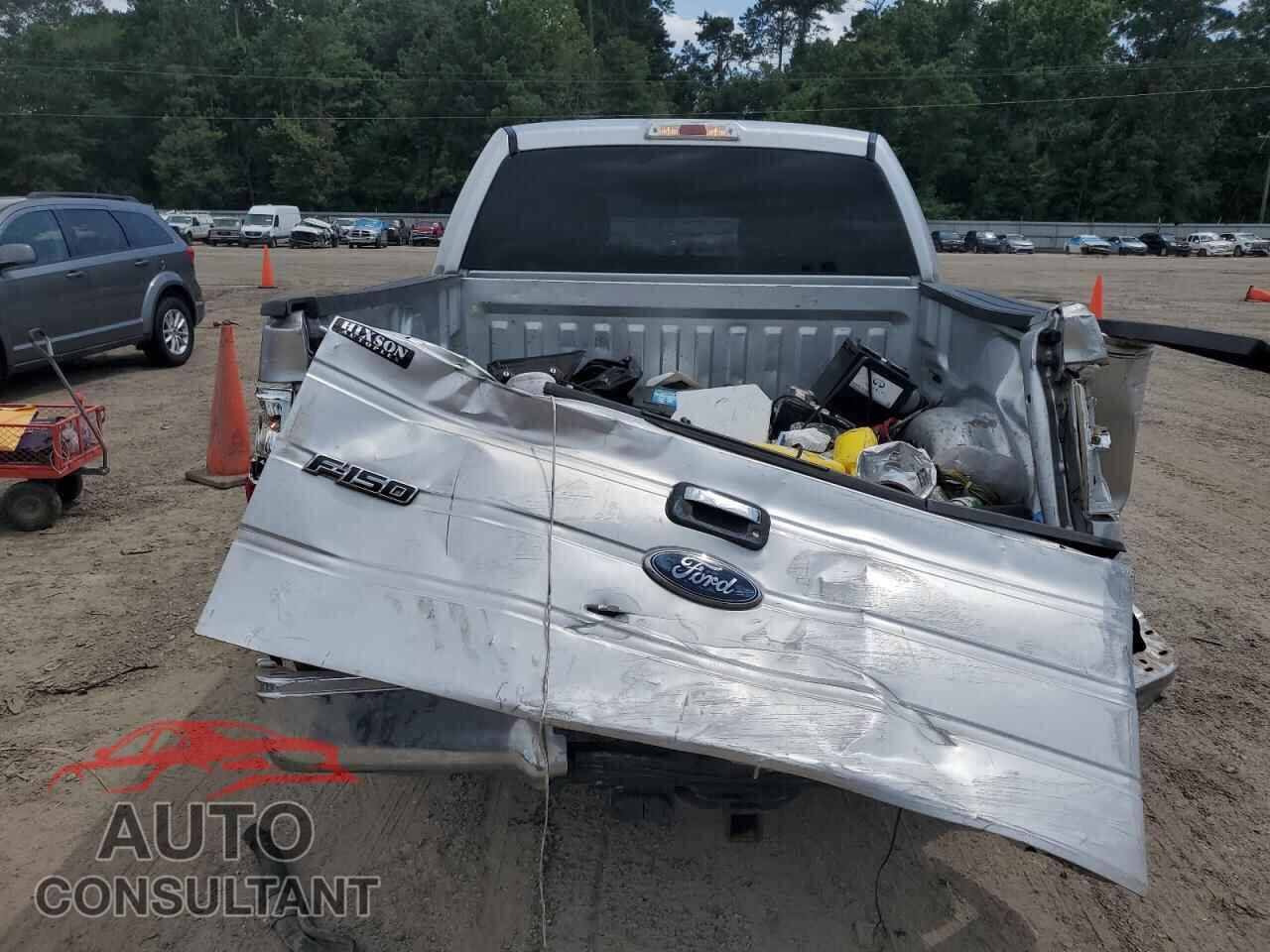 FORD F-150 2010 - 1FTEW1C8XAFA04308